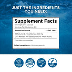 Beam Minerals Complete Multi-Mineral Capsules | Electro-Boost Plant-Based Electrolytes and Micronutrients for Men and Women | Help to Boost Immunity, Support Gut Health and Improve Sleep | 60 Capsules