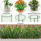 HiGift 4 Pack Height Adjustable Metal Plant Support (36" H or 24" H or 12" H), Heavy Duty Peony Cages and Supports, Half Round Tall Plant Support Ring for Outdoor Indoor Plant Hydrangea Flower