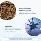 Youtheory Ashwagandha + GABA - Adaptogenic Blend with Organic KSM-66 & Ginger - Aids Stress Relief & Mood* - Supports Energy Levels* - 60 Vegetarian Capsules (30-Day Supply)*