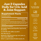 Eu Natural Purge Uric Acid Flush - Eat & Drink What You Want - Uric Acid Support for Joints & Mobility with Celery Seed, Tart Cherry & Chanca Piedra - 120 Vegetarian Capsules