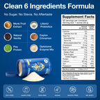 BIRDMAN Falcon Vegan Protein Powder Organic, Stevia & Sugar Free, Plant Based Protein, Low Carb, Dairy Free, Keto, Non Whey Protein, Probiotic, Pea Protein | Chocolate Flavor - 60 Servings - 3.9lb