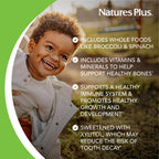 NaturesPlus Animal Parade Sugar-Free Children's Multivitamin - Assorted Cherry, Grape & Orange Flavors - Pack of 2, 90 Chewable Tablets - 90 Total Servings