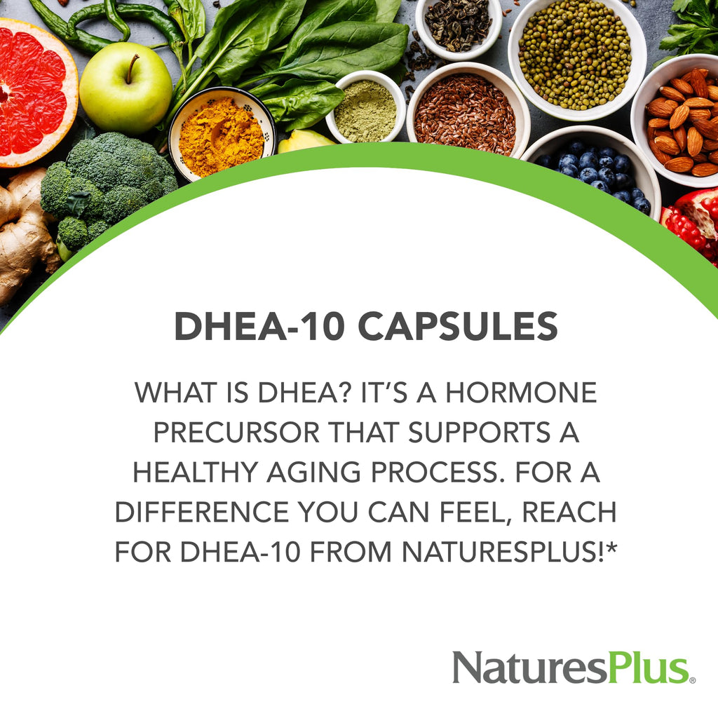 NaturesPlus DHEA-10 - Supports Energy, Immune Health & Healthy Aging - 90 Capsules - Vegan, Gluten Free - 90 Servings