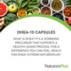 NaturesPlus DHEA-10 - Supports Energy, Immune Health & Healthy Aging - 90 Capsules - Vegan, Gluten Free - 90 Servings