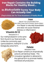 Iron Repair Plus Natural Iron Supplement, Best Absorption Gentle on Stomach, Monash Low FODMAP, Raise Hemoglobin & Ferritin for Women, Teens & Pregnancy Methylated B-12 & Folate, 90 Gelatin Capsules