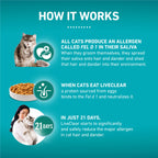 Purina ONE LiveClear Allergen-Reducing Dry Cat Food, 3 lb. Bag