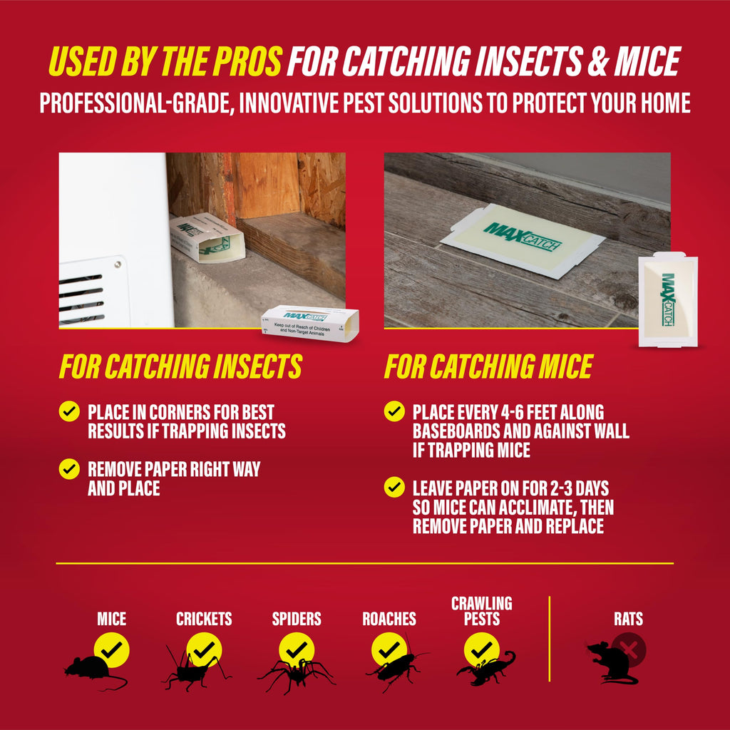 Catchmaster Max-Catch Mouse & Insect Glue Trap 36PK, Mouse Traps Indoor for Home, Sticky Pest Control Adhesive Tray for Catching Bugs, Bulk Unscented Glue Boards