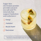 Trace Minerals ZeroLyte Salty Tropical Flavor - Sugar Free Electrolyte Drink Mix - Supports Hydration, Energy, Stamina - Ancient Sea Salt, Full Spectrum Minerals, Coconut Water - 30 Packets