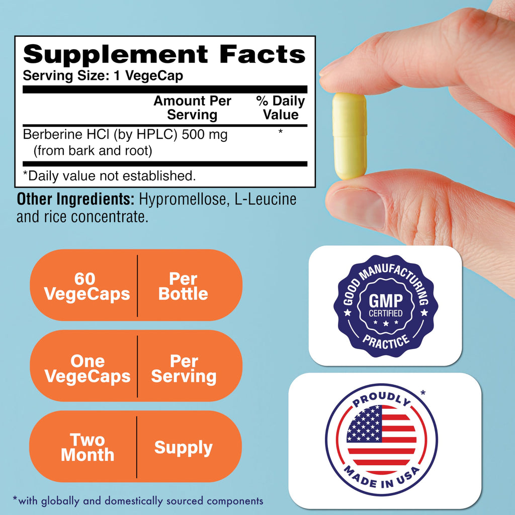 Health Thru Nutrition Berberine HCl 500mg 60 Servings | Clinical Strength Supplement | Certified Vegan | Non-GMO | Soy Free | 3rd Party Tested