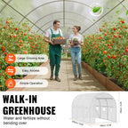 VEVOR Walk-in Tunnel Greenhouse, 9.6x6.4x6.2 ft Hoop House Greenhouse Tunnel, Plant Hot House with Galvanized Steel Frame, White PE Cover, Roll-up Zipper Door and 6 Windows for Outdoor
