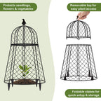 TAOMENNI Garden Cloches for Plants, Chicken Wire Cloche, Plant Cloche and Cages, Wire Plant Protectors from Animals, Protection for Your Plants and Seedlings, Heavy-Duty, 13" D x 20" H, Pack of 6