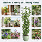 46.6" Tall Plant Trellis for Climbing Plants Indoor Outdoor, Durable Metal Trellis for Potted Plants, Adjustable Climbing Plant Support for Vines, Clematis, Morning Glories, Ivy, Black, 2 Pack