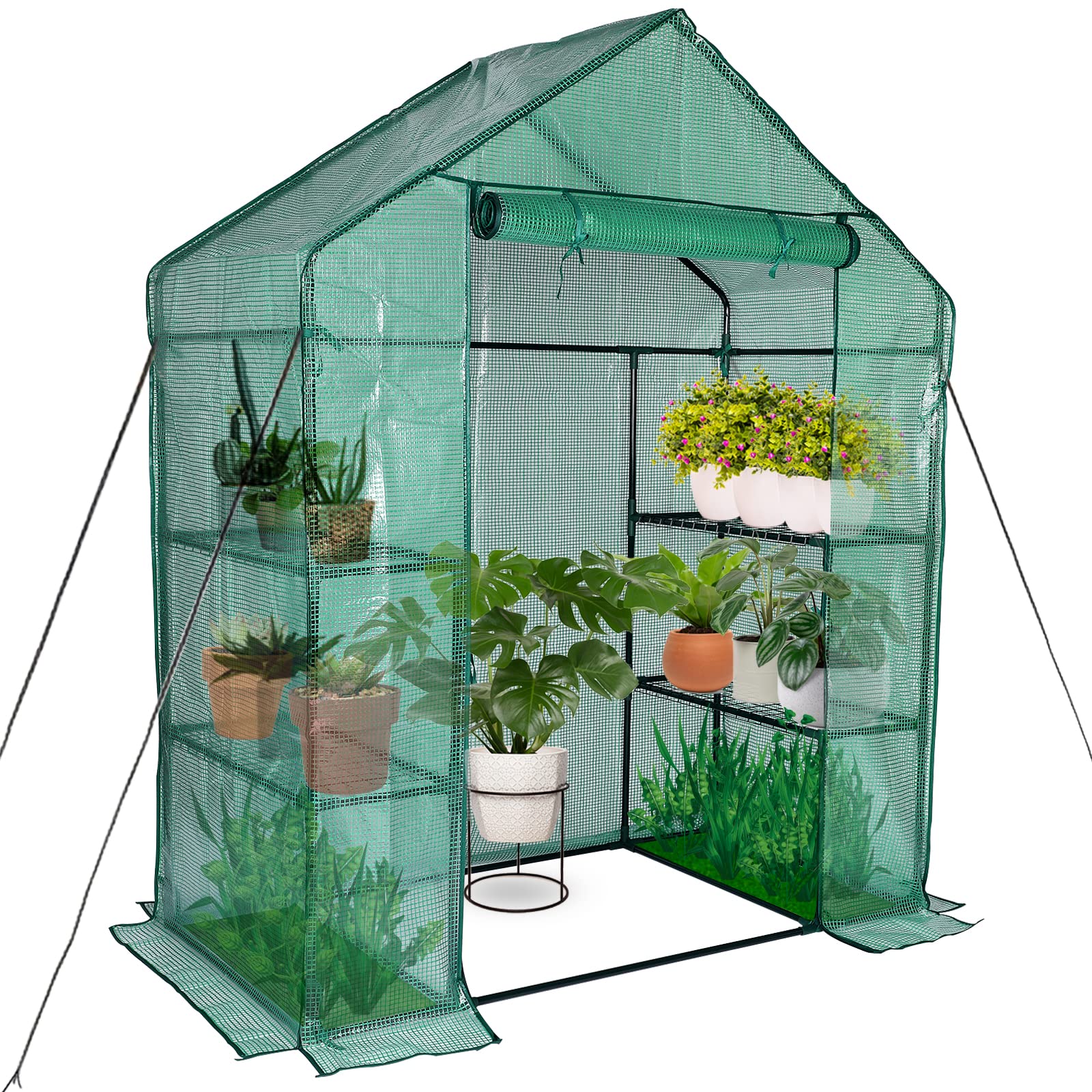 Portable Walk-in Greenhouse for Outdoors, 56x30x76 Plant House with Shelves