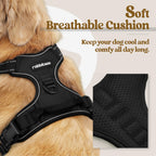 rabbitgoo Dog Harness, No Pull for Large Dogs with 2 Leash Clips, Pet Vest