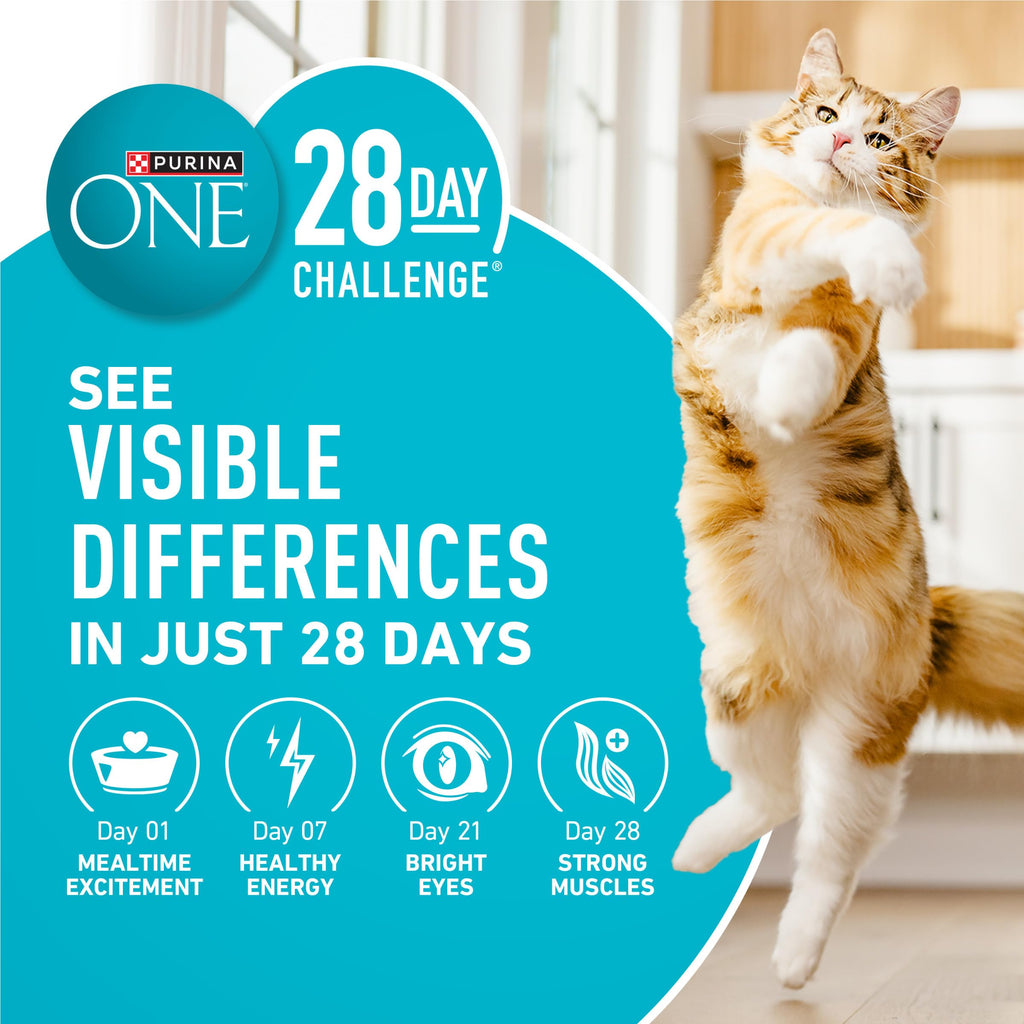 Purina ONE Tender Selects Dry Cat Food, Chicken, 16 lb Bag
