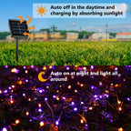 Joomer Orange Purple Halloween Solar Lights, 2Pack Total 144FT 400LED