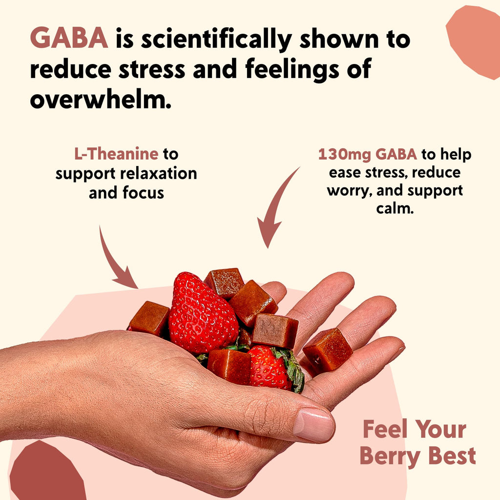PYM Berry Mood Chews Support for Stress, Worry & Overwhelm, 60 Count | 130mg GABA, 90mg L-Theanine | Vegan, Non-GMO, Gluten-Free, No Added Sugar | All-Natural Mood Support Supplement Made in USA