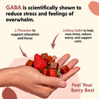 PYM Berry Mood Chews Support for Stress, Worry & Overwhelm, 60 Count | 130mg GABA, 90mg L-Theanine | Vegan, Non-GMO, Gluten-Free, No Added Sugar | All-Natural Mood Support Supplement Made in USA