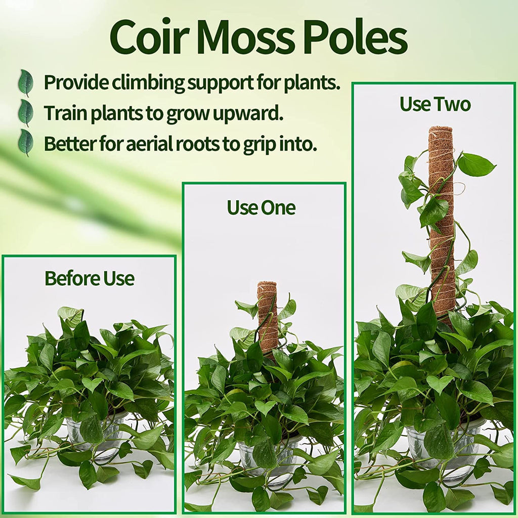 Eibikdi 101in Moss Pole for Plants Monstera 8 Pcs