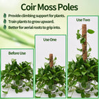 Eibikdi 101in Moss Pole for Plants Monstera 8 Pcs
