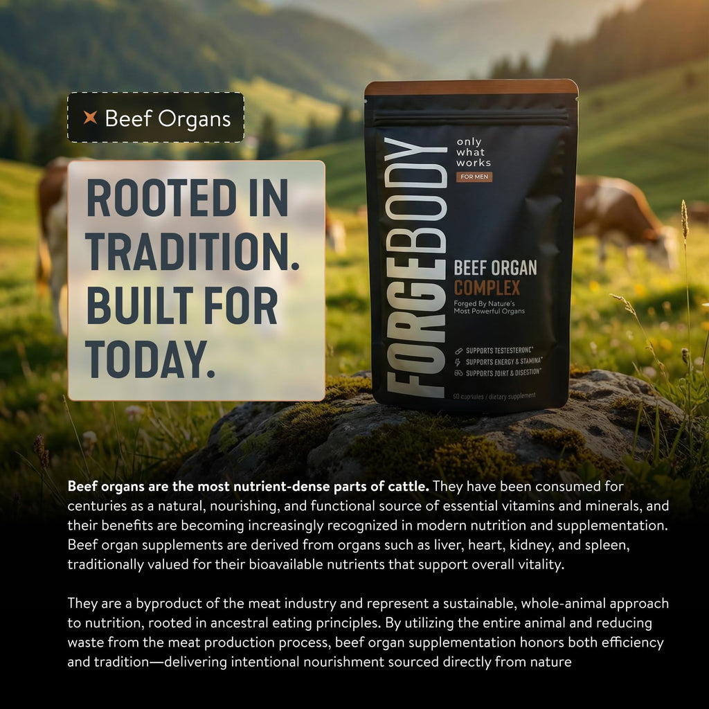FORGEBODY® Beef Organ Complex Capsules [3 MONTHS] - 100% Grass Fed Beef Organ Supplement with Blend of Liver, Heart, Bone Marrow, Pancreas & Testicles - Supports Body Health & Brain Function (NON-GMO)
