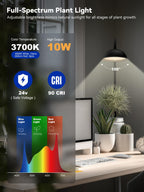 GLOWRIUM Smart Grow Lights for Indoor Plants,Full Spectrum Desk Plant Light