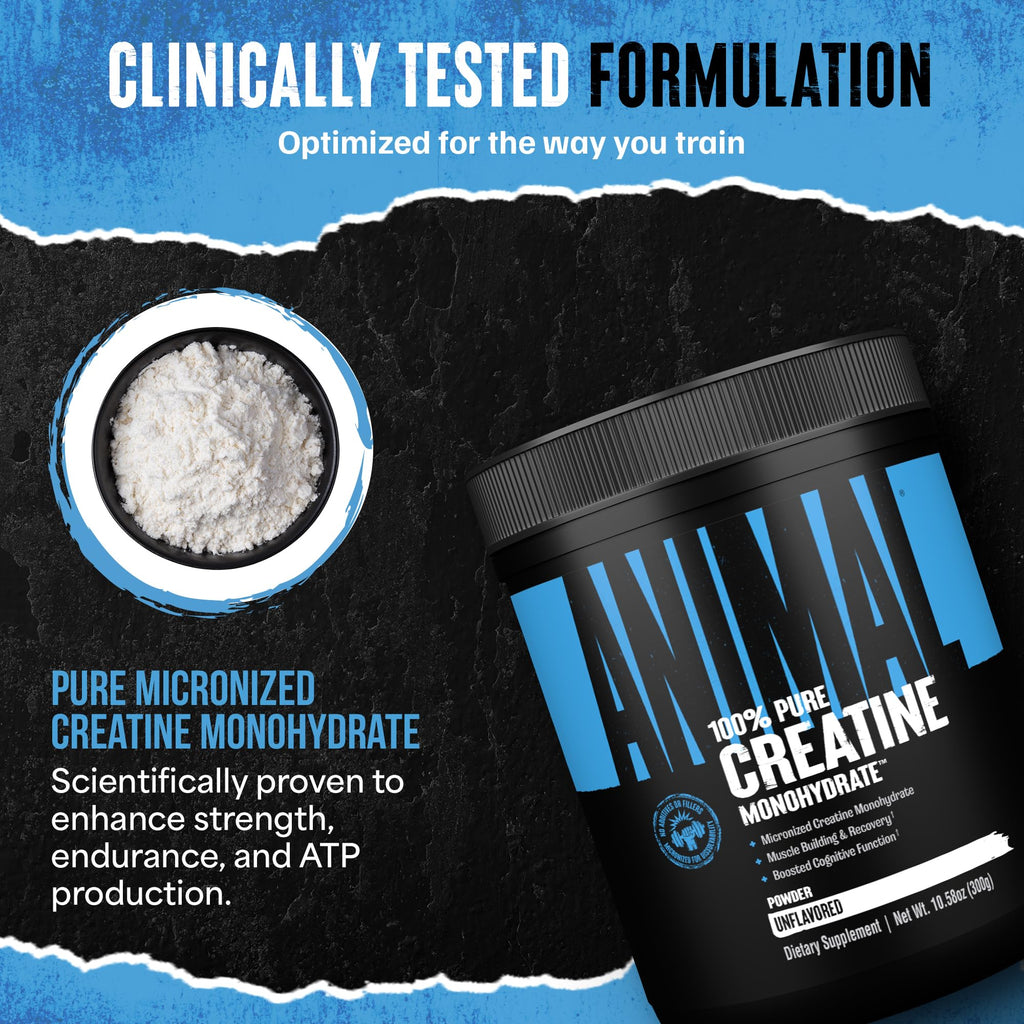 Animal Creatine Monohydrate Powder – Micronized Creatine for Women and Men, Supports Muscle Growth, Strength, Endurance, Recovery and ATP Production, Gym & Workout Supplements - Unflavored, 300g