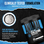 Animal Creatine Monohydrate Powder – Micronized Creatine for Women and Men, Supports Muscle Growth, Strength, Endurance, Recovery and ATP Production, Gym & Workout Supplements - Unflavored, 300g