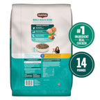 Nutrish Indoor Complete Chicken, Lentils & Salmon Recipe Dry Cat Food 14 lb. Bag, Packaging May Vary (Rachael Ray)