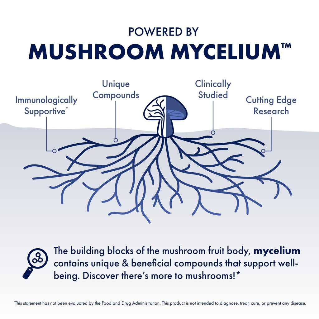 Host Defense Stamets 7 Mushroom Powder - 7 Species Blend - Mushroom Supplement for Immune Support with Royal Sun Blazei, Cordyceps, Reishi, Maitake, Lion's Mane, Chaga & Mesima - 3.5 oz (66 Servings)*