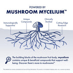 Host Defense Stamets 7 Mushroom Powder - 7 Species Blend - Mushroom Supplement for Immune Support with Royal Sun Blazei, Cordyceps, Reishi, Maitake, Lion's Mane, Chaga & Mesima - 3.5 oz (66 Servings)*