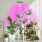 KINGPLUS 48W Grow Light for Indoor Plants with Stand, Tri-Head Plant Light