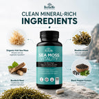 HerbaMe Organic Sea Moss Supplement with Bladderwrack & Burdock Root, Irish Moss with Black Pepper Extract, Daily Mineral Support for Energy & Wellness, Immune Support for Men & Women, 150 Capsules