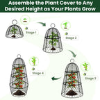 6 Pack Garden Cloche Plant Protectors from Animals, Adjustable 3-Tier Chicken Wire Plant Cages for Outdoor Plants, Stackable Metal Garden Cloches Keep Rabbits, Squirrels & Birds Away, 17.3" x 11.4"
