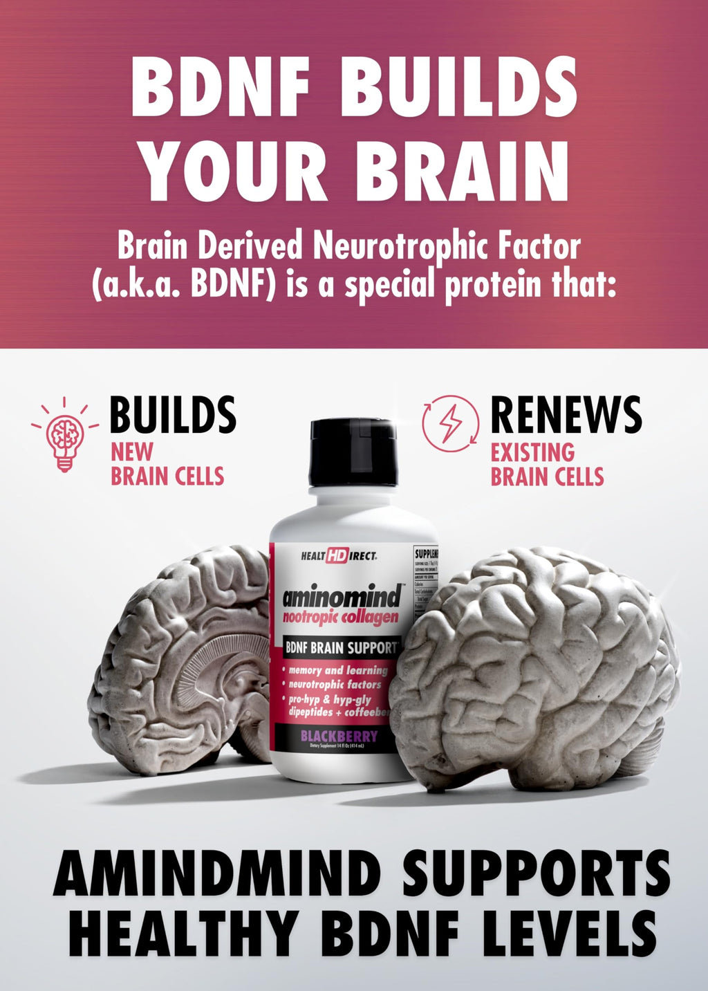 HEALTH DIRECT - AminoMind - Nootropic Collagen Supplement for Brain Health and BDNF - Pro-Hyp & Hyp-Gly Dipeptides, Coffeeberry Antioxidants - BlackBerry - 14 Fl Oz (28 Servings)