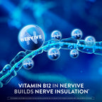 Nervive Nerve Health, Alpha Lipoic Acid, Fortify Nerve Health, Healthy Nerve Function, Healthy Blood Circulation, Supplement, Tablet, 60 Tablets