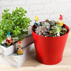 Jetec 10 Pcs Mini Fairy Gnomes Statue Garden Accessories Kit Miniature Garden Resin Gnomes Hand Painted Squirrel Hedgehog Owl Bird and Bucket Ornament for Yard Lawn Home Outdoor Decoration