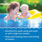 In The Swim Stain Away for Above Ground and Inground Swimming Pools - Removes Mineral Stains from Iron, Copper, and Magnesium in Swimming Pools - 1 Quart
