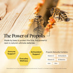 Beekeeper's Naturals Propolis Throat Spray, Natural Immune Support & Sore Throat Relief - Antioxidants, Keto, Paleo, Gluten-Free, 1.0 oz (Pack of 2)