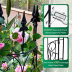 2 Pack 56.7'' H x 12'' W Garden Trellis for Climbing Plants Outdoor, Rustproof Metal Garden Flower Trellis, Rose Trellis for Outdoor Indoor Climbing Plants Clematis Vines Flowers Potted Plants, Tomato