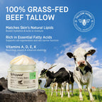 Beef Tallow Honey Balm for Skin: 100% Grass Fed Whipped Organic Moisturizer with Organic Raw Honey, Jojoba Oil, Vitamin E – Natural Face and Body Care for Mature, Dry or Sensitive Skin, 2oz