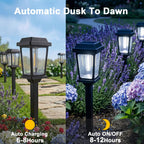 DOESLAG 10 Pack Solar Pathway Lights Outdoor, Auto On/Off LED Solar Garden Lights, Decorative Landscape Lighting for Path Yard Walkway Driveway