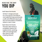 Teaza Herbal Energy Pouches Tobacco Alternative Nicotine Free Dip, Alternative Snuff Healthy Dip Pouches, Wintergreen Energy (2 Pack)