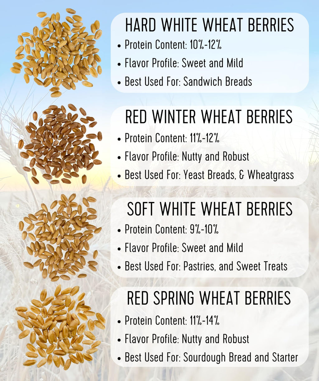 Palouse Brand Certified Glyphosate Residue Free Hard Red Winter Wheat Berries | 10 LBS | Family Farmed in Washington State | Non-GMO Project Verified | Certified Kosher Parve Bag