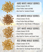 Palouse Brand Certified Glyphosate Residue Free Hard Red Winter Wheat Berries | 10 LBS | Family Farmed in Washington State | Non-GMO Project Verified | Certified Kosher Parve Bag