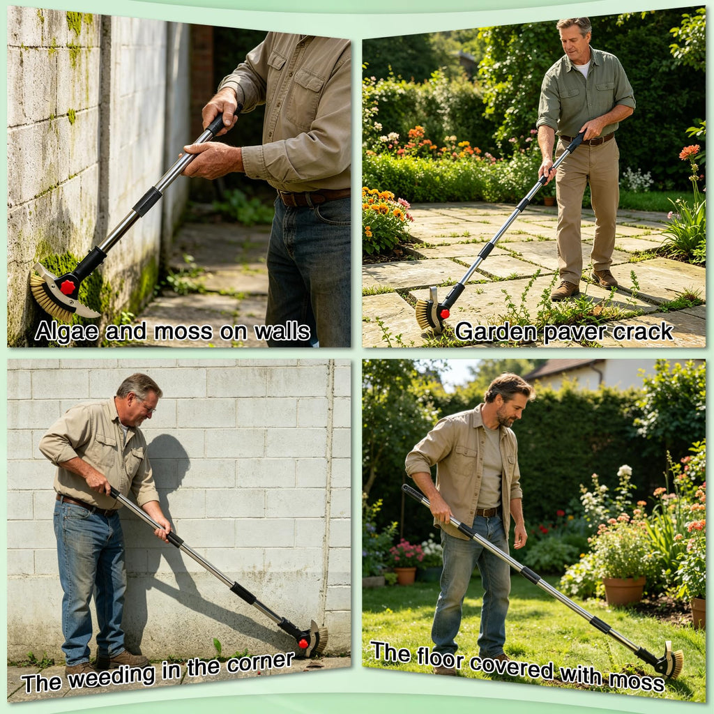 VITAINTE 3 in 1 Crack Weeder Tool Long Handle