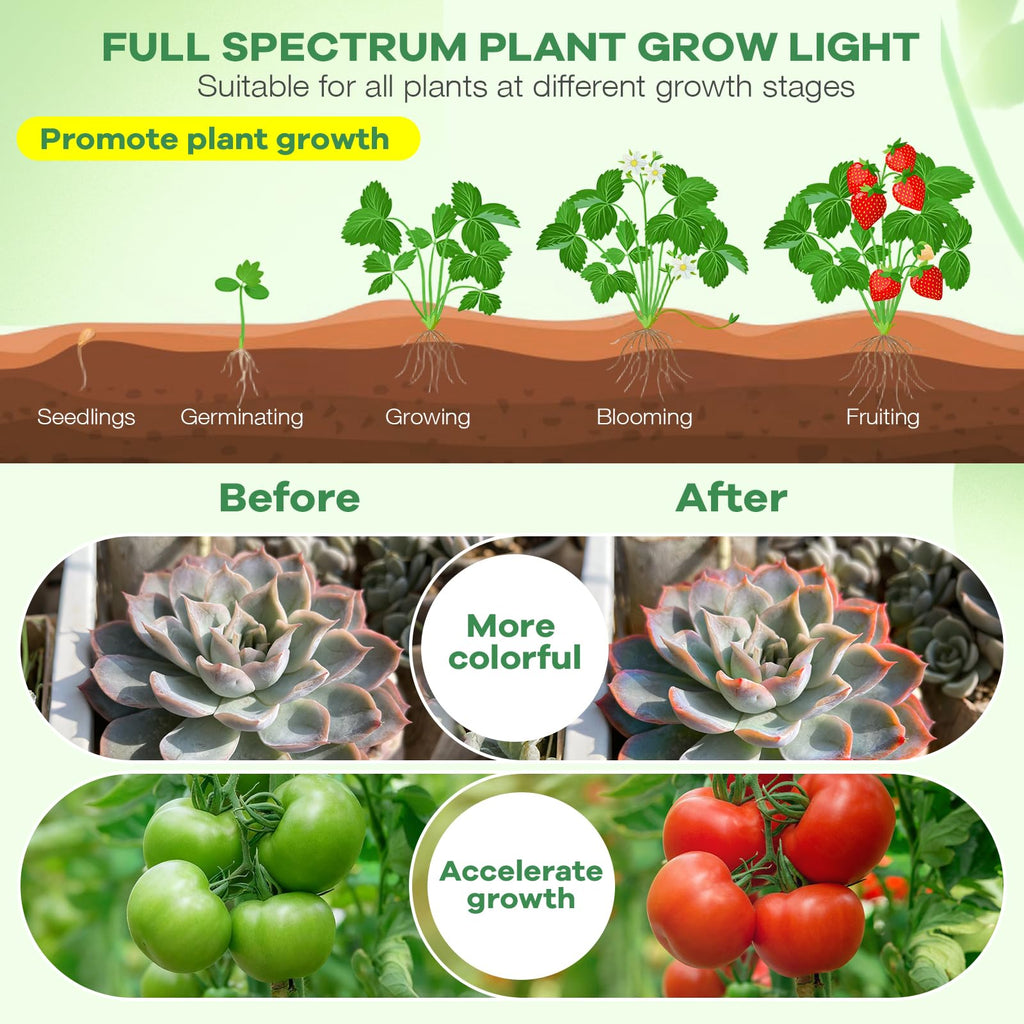 AURAZIGLI Led Grow Lights, 4 Heads Red Blue Plant Light with Clamp for Indoor Plants & Seed Starting, 10-Level Dimmable, Auto On Off, Timing 3 9 12Hrs