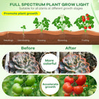 AURAZIGLI Led Grow Lights, 4 Heads Red Blue Plant Light with Clamp for Indoor Plants & Seed Starting, 10-Level Dimmable, Auto On Off, Timing 3 9 12Hrs