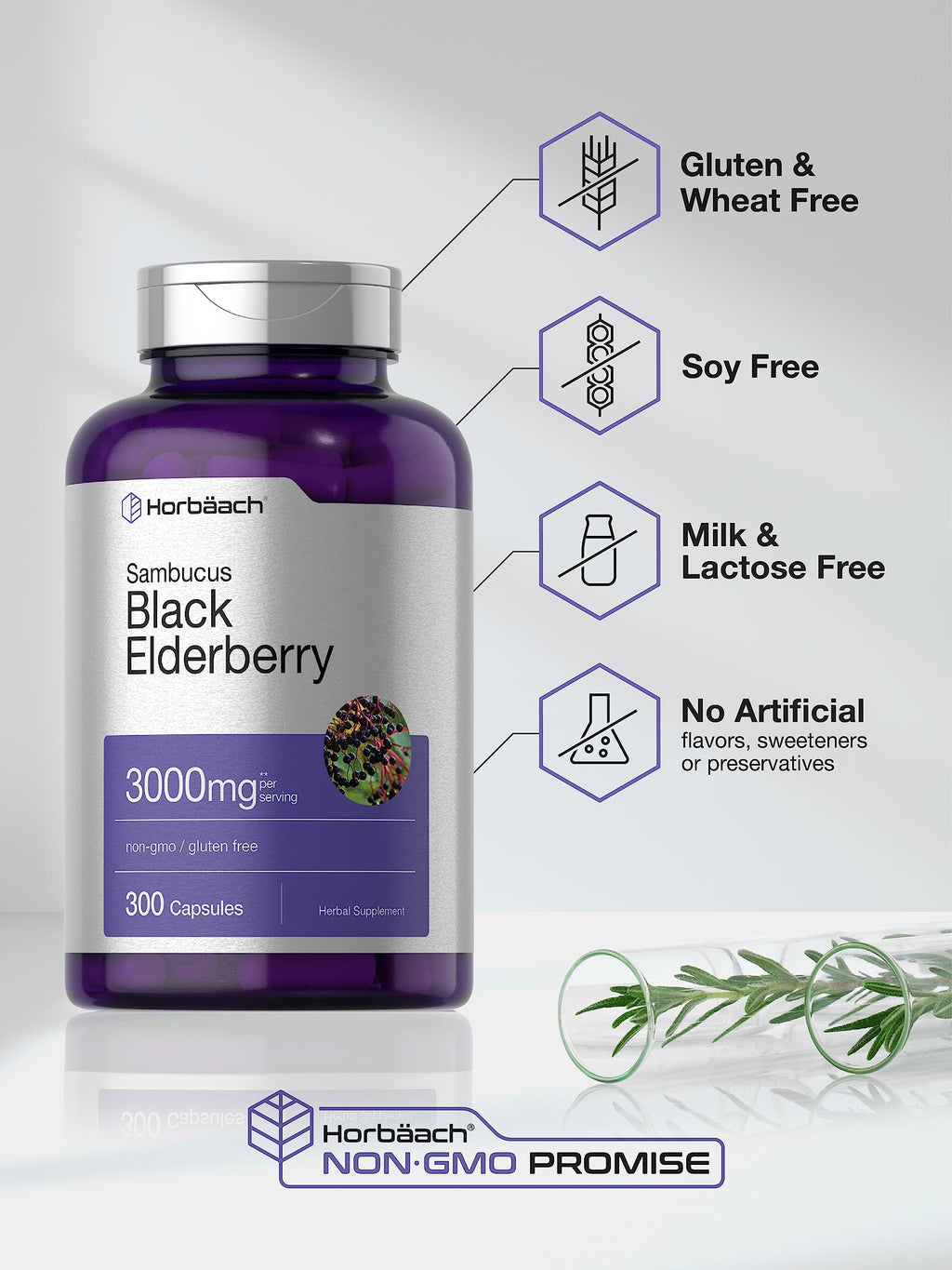 Horbäach Black Elderberry | 300 Capsules | Non-GMO, Gluten Free | Sambucus Supplement