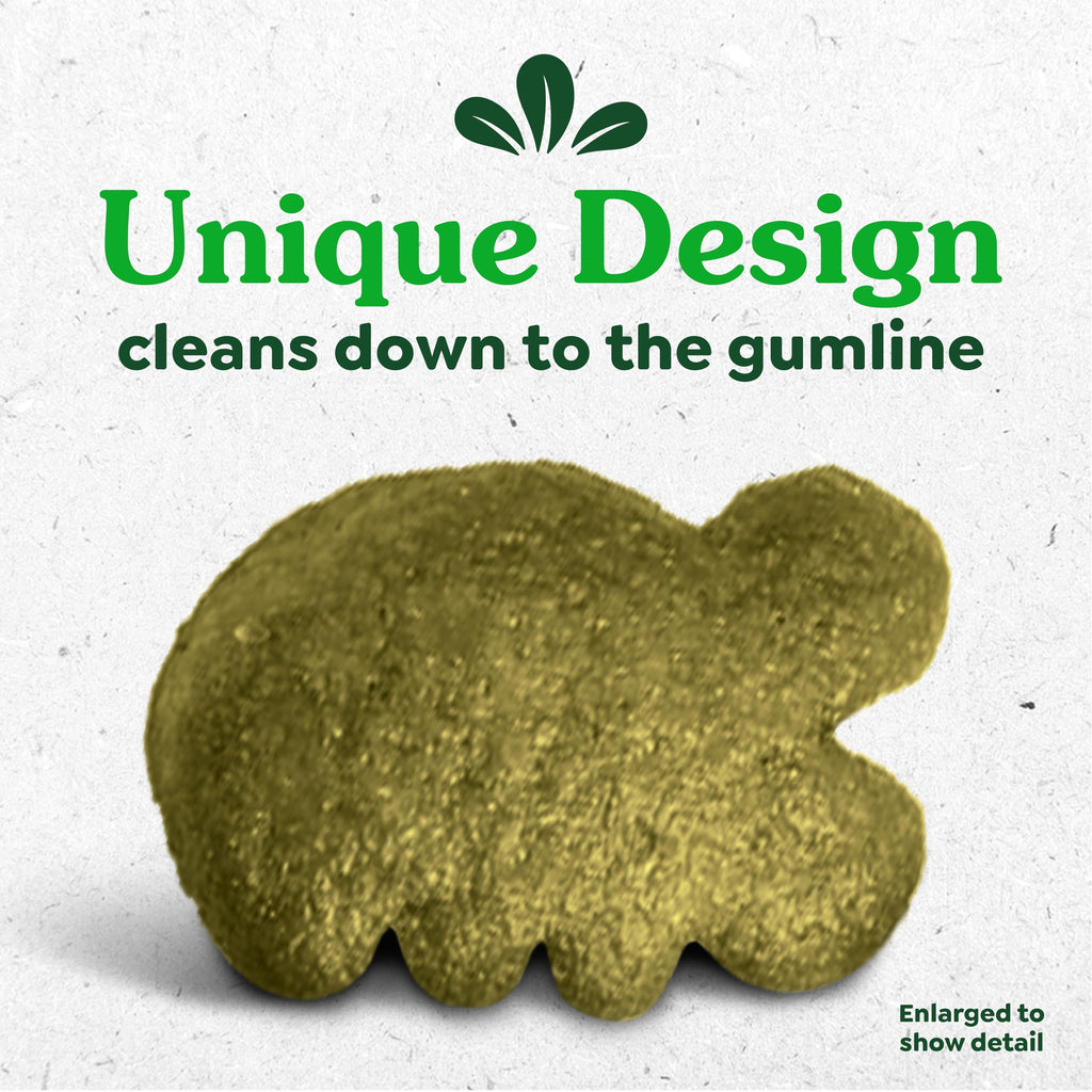 Greenies Feline Natural Dental Cat Treats, Catnip Flavor, 21 oz